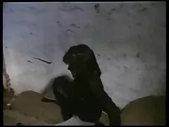 Video khiêu dâm, xem trực tuyến