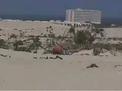 Khiêu dâm trực tuyến