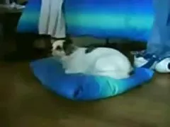 Xem mui xe khiêu dâm